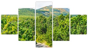 Obraz - Babia Góra, Polska (125x70 cm)
