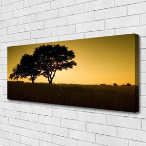 Zdjęcie na płótnie Naturalna Gęstwina Parkowa