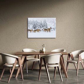 Obraz - Wilki w górach (70x50 cm)