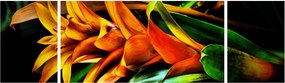 Obraz pomarańczowego kwiatu (170x50 cm)