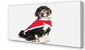 Obraz na płótnie Wierny Pies