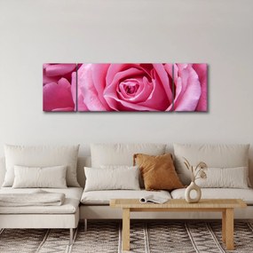Obraz róży (170x50 cm)