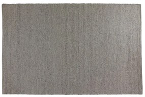 Szary dywan wełniany 340x240 cm Auckland – Rowico