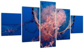 Obraz meduzy (125x70 cm)