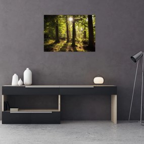 Obraz sennego lasu (70x50 cm)