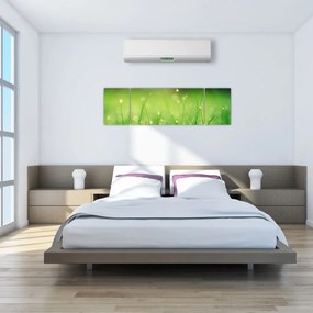 Obraz - rosa na trawie (170x50 cm)