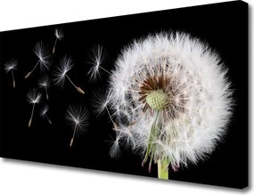 Obraz canvas na ścianę Puszysty Mniszek Lekarski