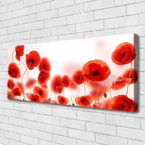 Obraz canvas na ścianę Czerwone Maki w Polu