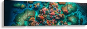 Obraz - Widok na morze (170x50 cm)
