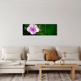 Obraz kwiatu róży (z zegarem) (90x30 cm)