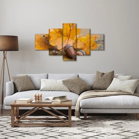 Obraz - Jesienne żołędzie (125x70 cm)