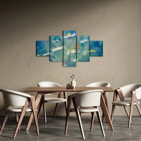 Obraz - Motyl na stokrotce (125x70 cm)