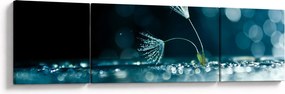 Obraz - Makro (170x50 cm)