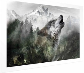 Plakat Wyjący wilk 60x40 cm bez ramy z marginesem ARTGEIST B