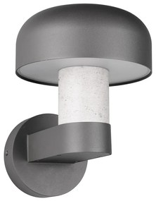 Zewnętrzna lampa ścienna (wysokość 24,5 cm) Fraser – Trio