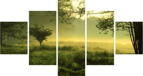 Obraz - Budzący się las (125x70 cm)