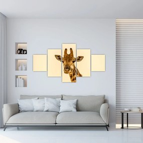 Obraz żyrafy (125x70 cm)