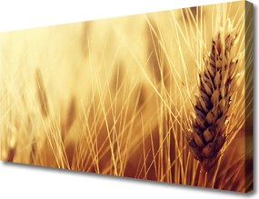 Obraz canvas Kłosy Pszenicy na Wietrze