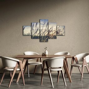 Obraz kwiatów łąkowych (125x70 cm)