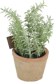Sztuczna roślina (wysokość 21,5 cm) Thyme – Esschert Design