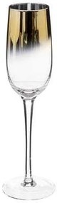 Kieliszki do szampana ARYA, 210 ml, 6 sztuk