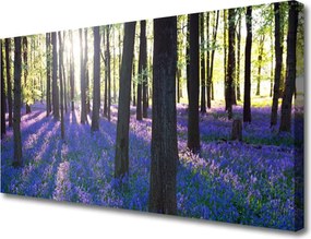 Zdjęcie na płótnie Gęsta Korona Drzew