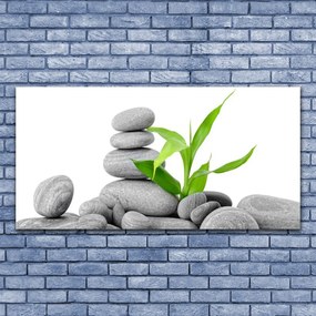 Zdjęcie na płótnie Kompozycja Kamieni i Liści