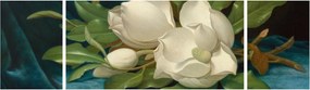 Obraz - Martin Johnson Heade, Giant Magnolias on a Blue Velvet Cloth, reprodukcje (170x50 cm)