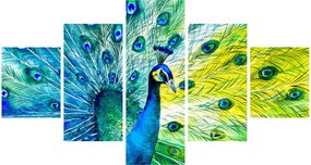 Obraz pawia (125x70 cm)