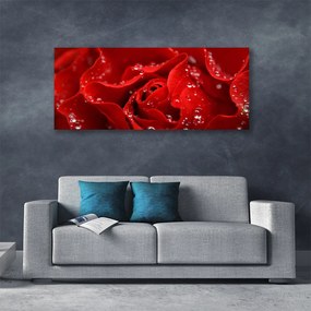 Fotoobraz na płótnie Dzika Róża w Rozkwicie