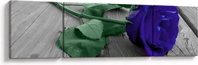 Obraz - Niebieska róża z zieloną łodygą (170x50 cm)