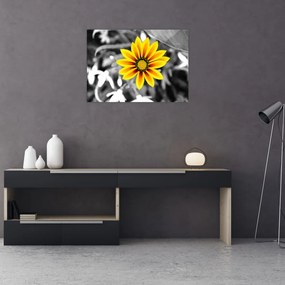 Obraz żółtego kwiatu (70x50 cm)