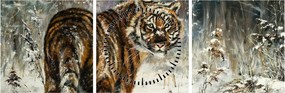 Obraz - Tygrys w zaśnieżonym lesie, obraz olejny (z zegarem) (90x30 cm)