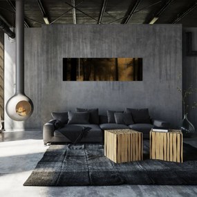 Obraz - Ciemny las (170x50 cm)
