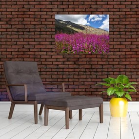 Obraz scenerii łąki górskiej (70x50 cm)