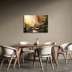 Obraz tygrysa (70x50 cm)