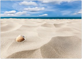 Obraz - Muszle na plaży (70x50 cm)