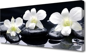 Obraz na płótnie Orchidea w Kompozycji Zen