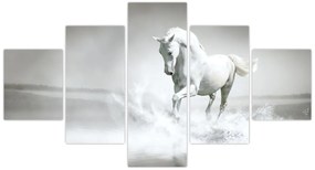 Obraz - Biały koń (125x70 cm)