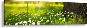 Obraz polany i kwiatów (170x50 cm)