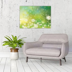 Obraz na szkle - Kwitnące mlecze (70x50 cm)
