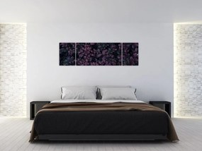 Obraz ciemnoczerwonych liści (170x50 cm)
