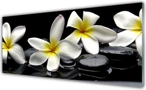 Panel Szklany do Kuchni Egzotyczny Kwiat Plumerii