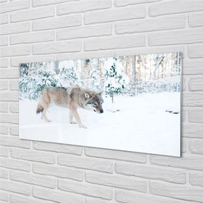 Panel Szklany Wilk zima las