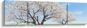 Obraz drzew (170x50 cm)