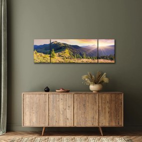 Obraz - Krajobraz leśny (170x50 cm)