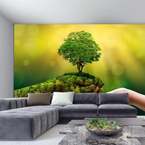 Fototapeta - Dar natury (196x136 cm)