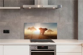 Panel szklany do Kuchni Słoń o Wschodzie Słońca na Sawannie