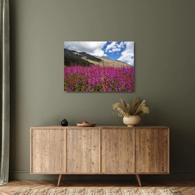 Obraz na szkle scenerii łąki górskiej (70x50 cm)