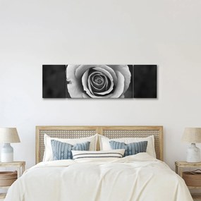 Obraz róży (170x50 cm)